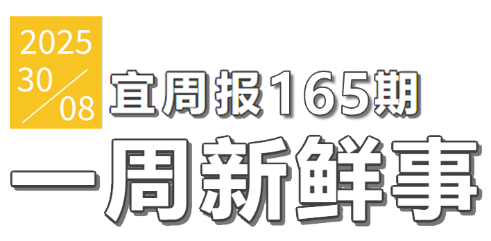 宜周报165期
