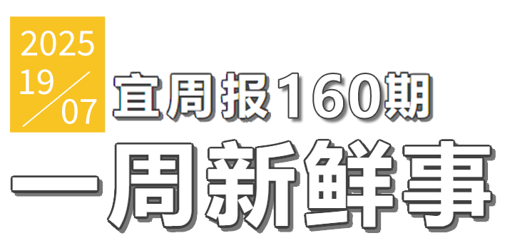 宜周报160期