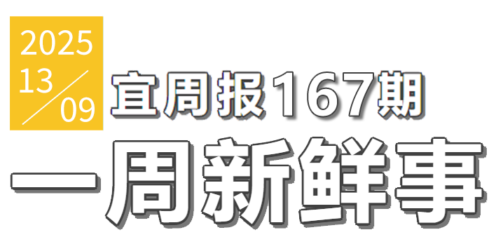 宜周报167期
