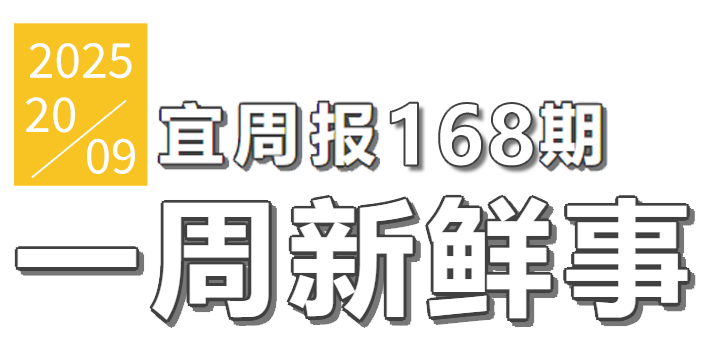 宜周报168期