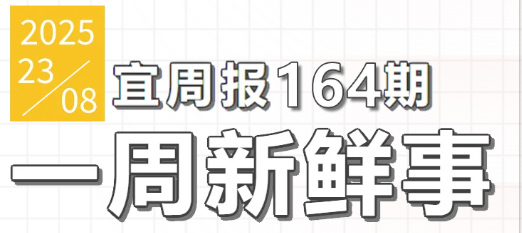 宜周报164期