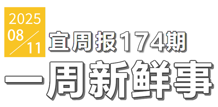 宜周报174期