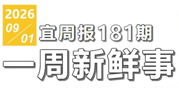 宜周报181期