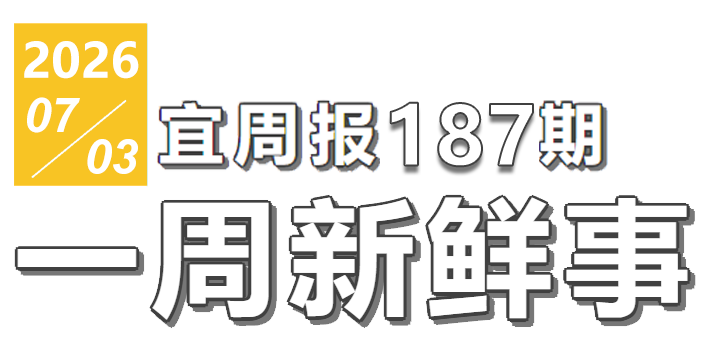 宜周报187期