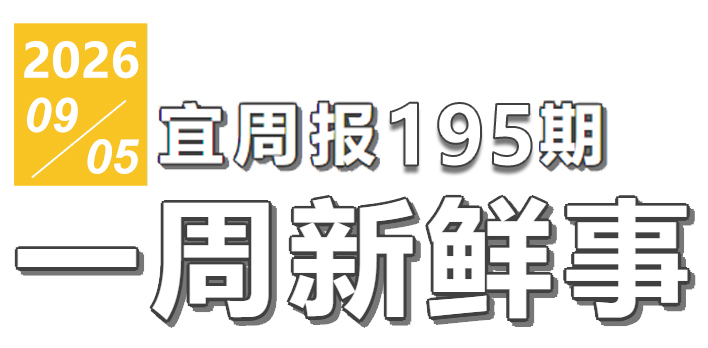 宜周报195期