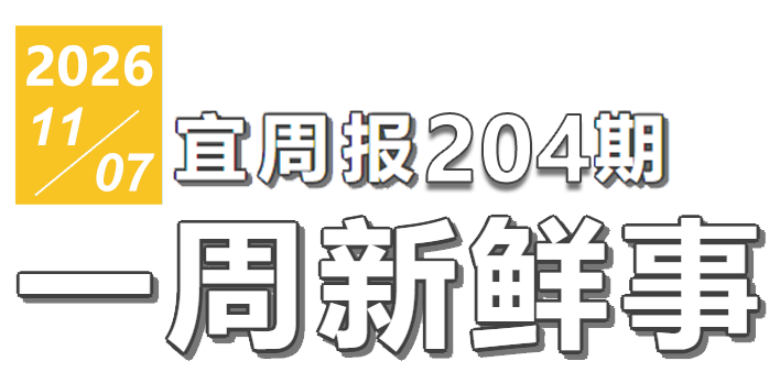 宜周报204期