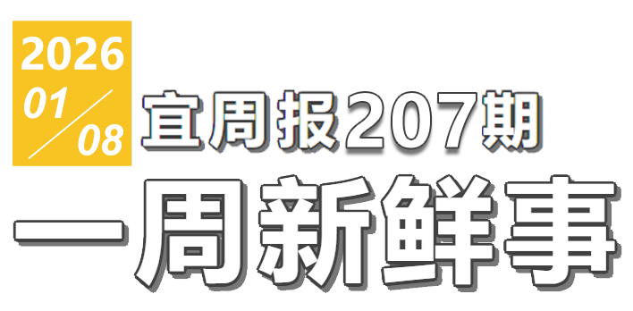 宜周报207期