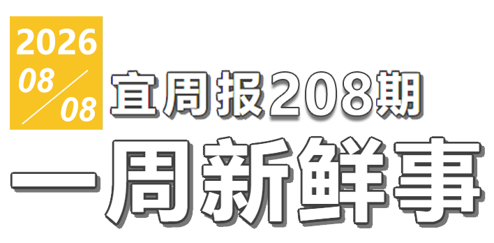 宜周报208期