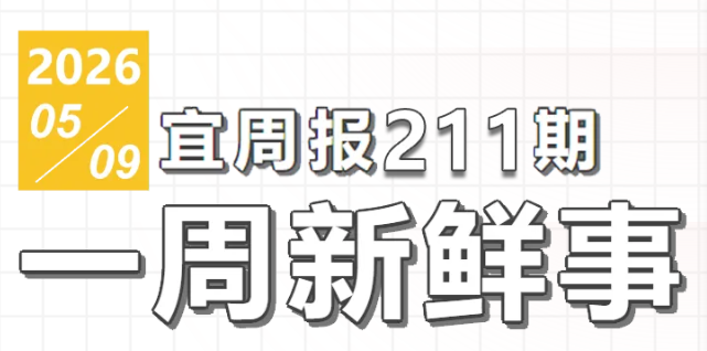 宜周报211期