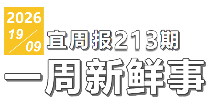 宜周报213期